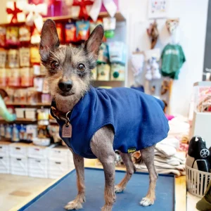 Stretch Fleece in Navy Blue