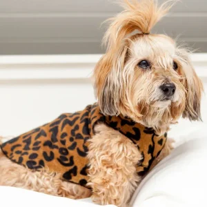 Stretch Fleece Pullover in Leopard Print