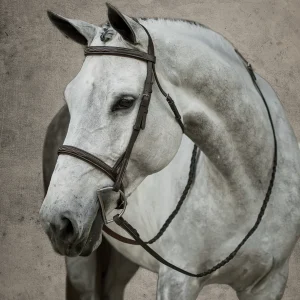 Suffolk™ Hunter Fancy-Stitched Bridle