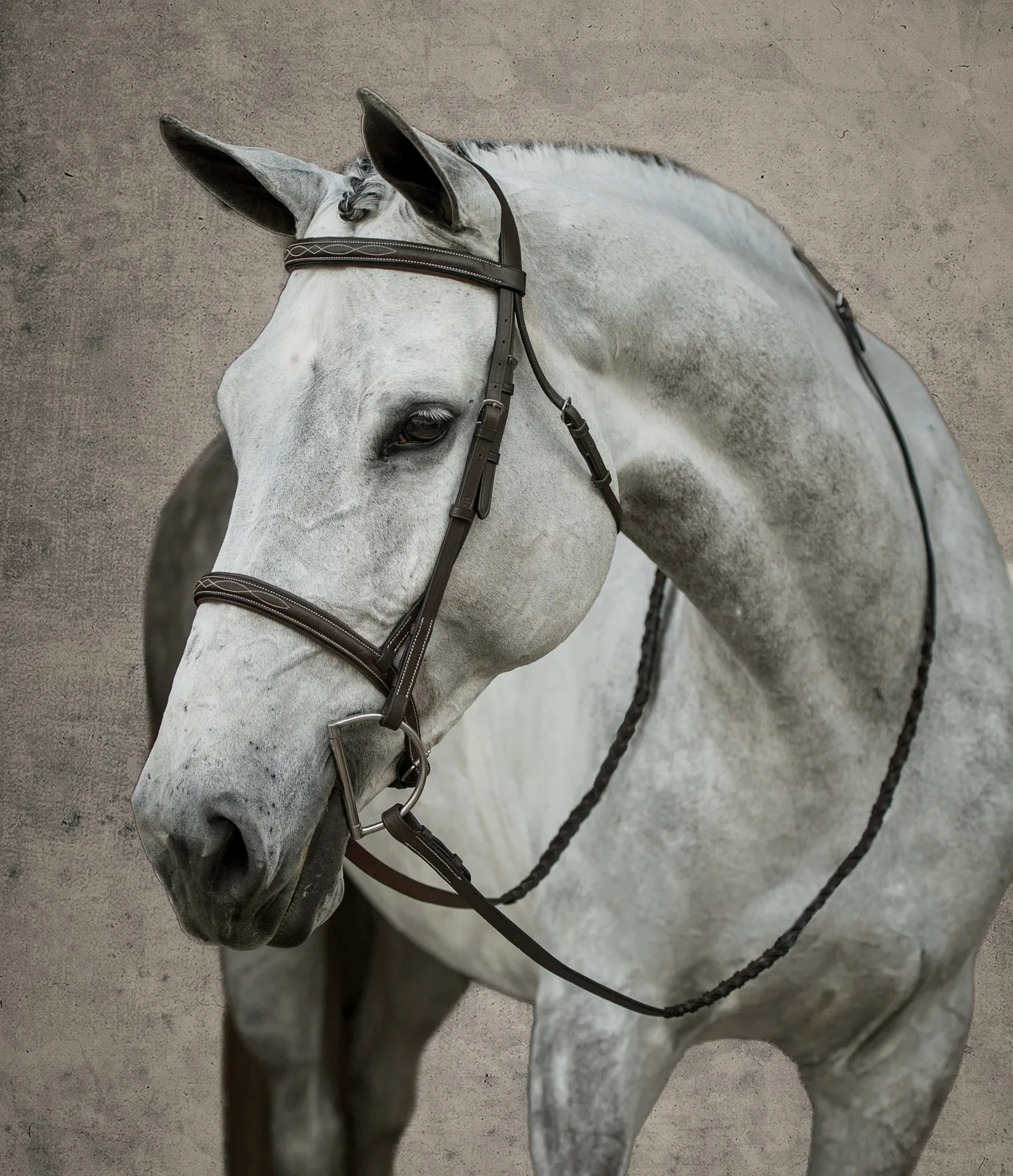 Suffolk™ Hunter Fancy-Stitched Bridle