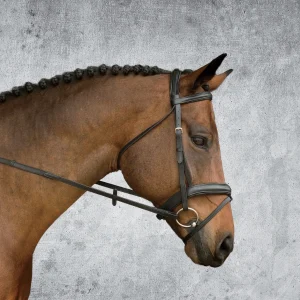 Suffolk™ Single Crown Padded Dressage Bridle