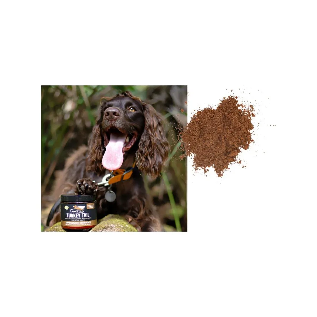 Super Snouts Turkey Tail Mushrooms, Dog and Cat, 75 Grams - Image 2