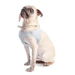 SUSAN LANCI | Step In Harness in Grey