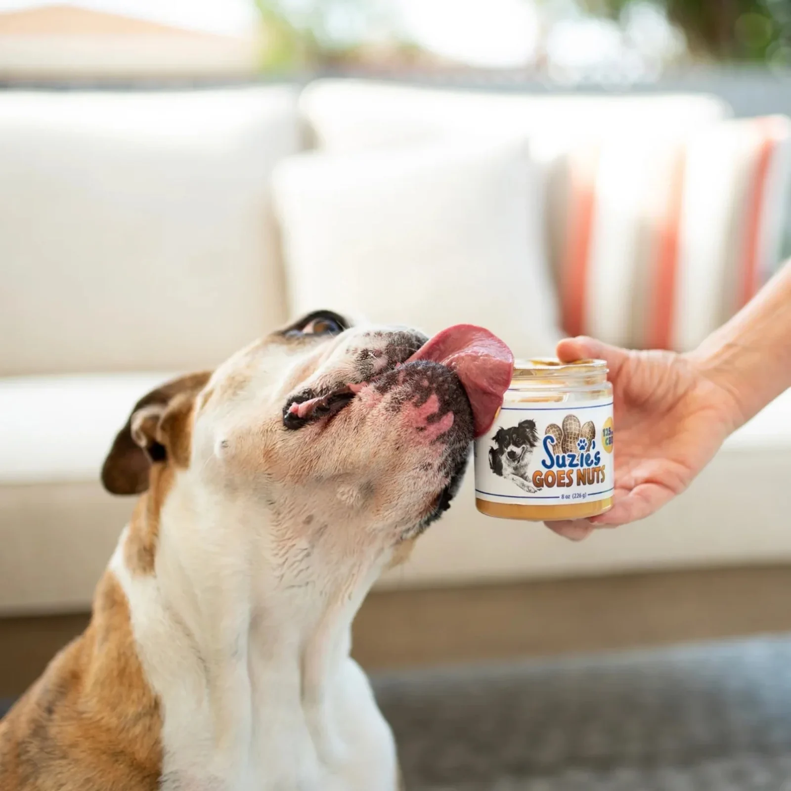 Suzie's Goes Nuts CBD Paste For Dogs Peanut Butter 8oz. - Image 2