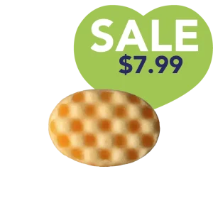 Sweet Orange Essential Oil Wash Sponge by Dog Fashion Spa