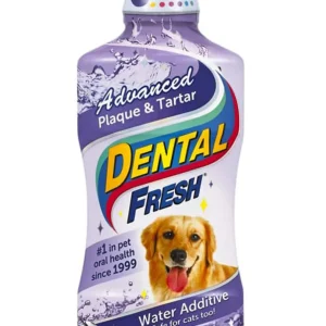Synergy Labs Advanced Plaque and Tartar Liquid for Dogs 1ea/17 fl oz
