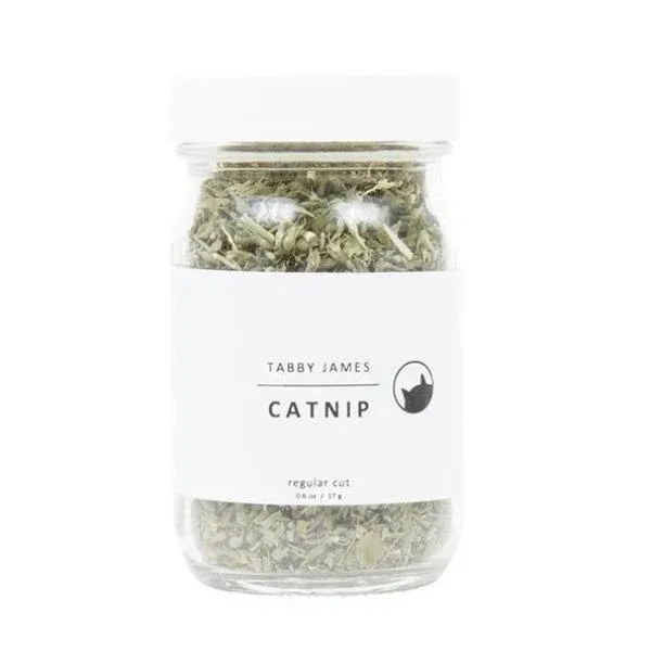 TABBY JAMES | Catnip Regular Cut - Image 2