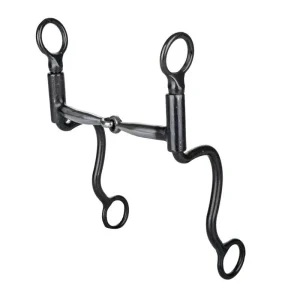 Tabelo Brushed Cavalry Curb Bit 5