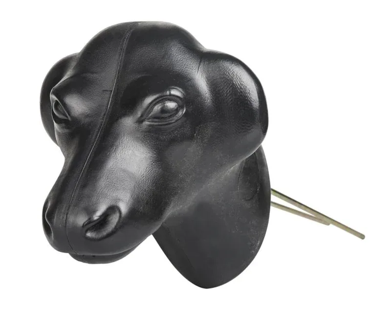 Tabelo Calf Head with Spikes