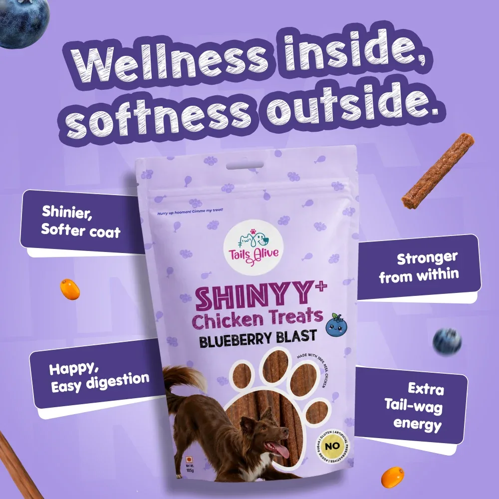 Tails Alive Shinyy+ Blueberry Blast Chicken Chew Sticks for Dogs - Image 2