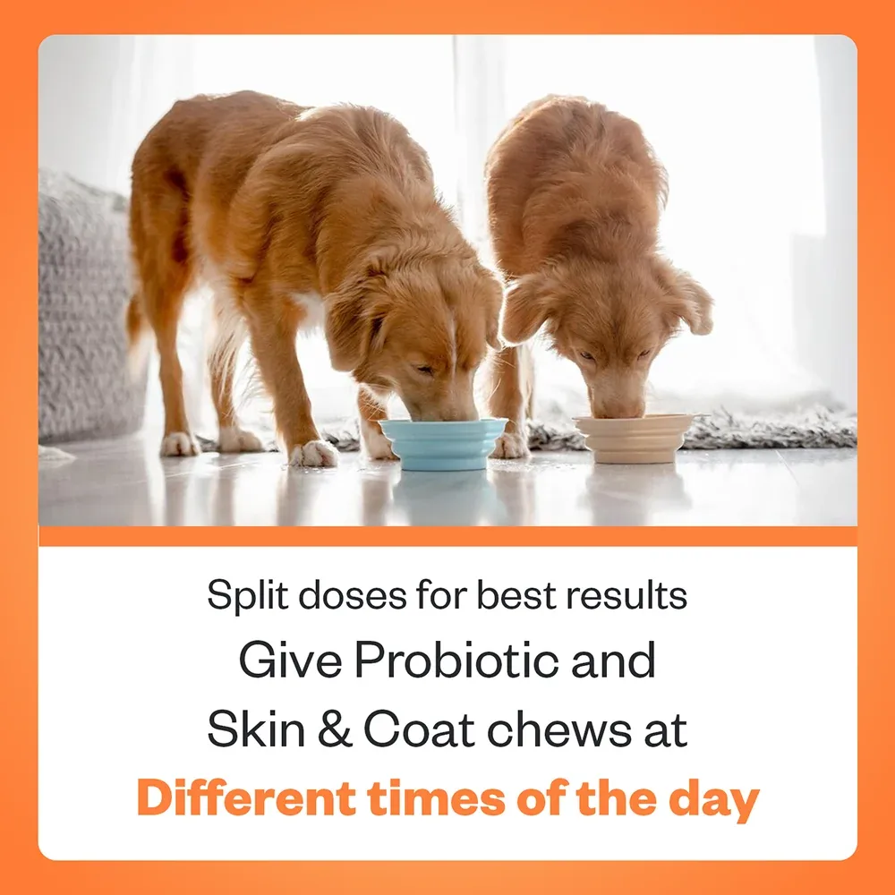 TailsAlive Probiotic Chicken Flavor and Skin & Coat Soft Chews Supplements for Dogs - Image 2