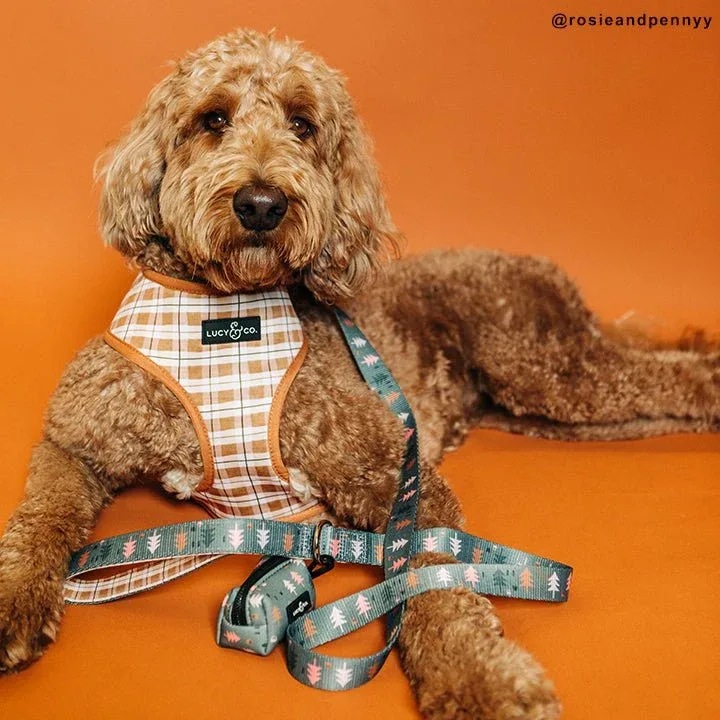 Take a Hike Leash - Image 2