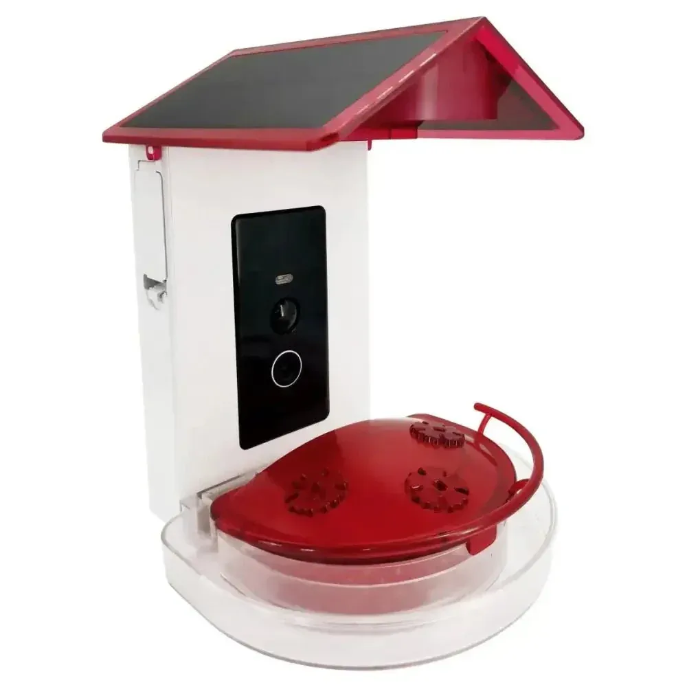 Talis-us Hummingbird Feeder with Camera – Solar-Powered 1080p AI, App Control