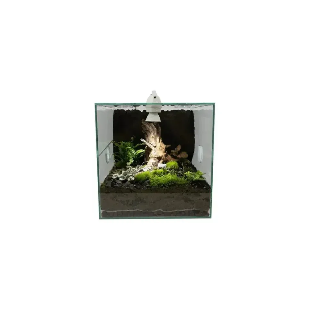 Talis-us LED Light for Ant Nest Ants Farm Insect Cages Spotlight for Formicarium