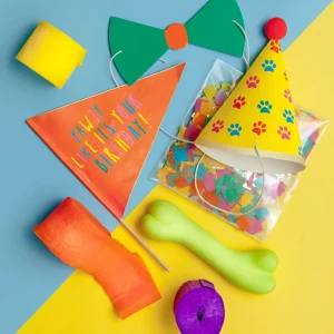 TALKING TABLES | Pawty Party Box