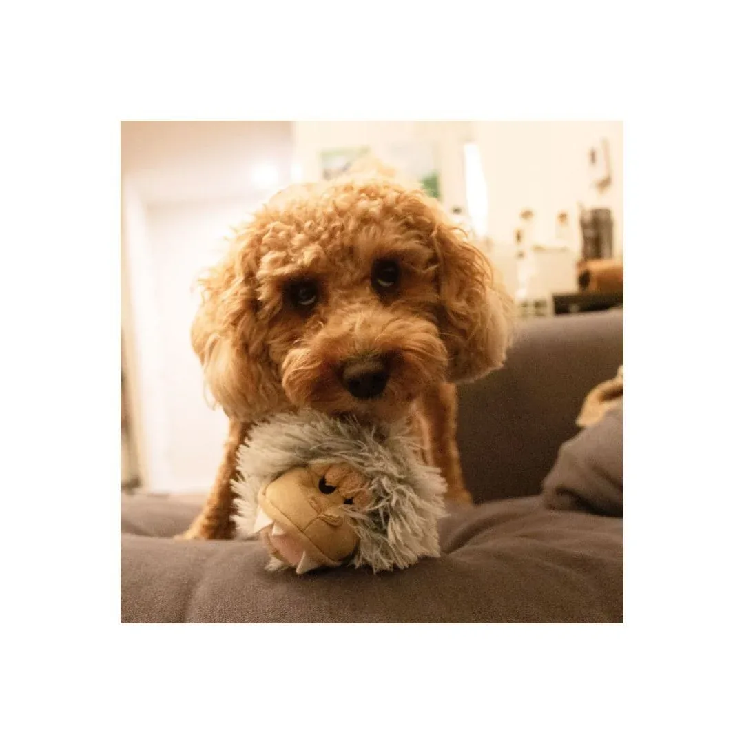 Tall Tails 2-in-1 Yeti Head Ball Dog Toy, 4-Inch - Image 2