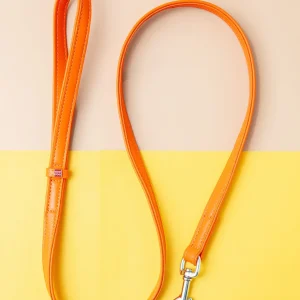 Tangerine Orange Leather Dog Leash <>