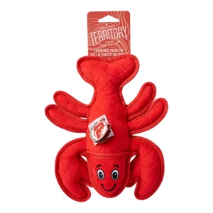 Territory Dog Durable Plush Lobster, 10 Inch