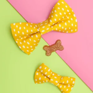 The Always Sunny In Pickle-delphia Bow Tie