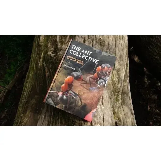 The Ant Collective: Inside the World of an Ant Colony by Armin Schieb