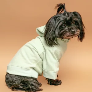 The Basics Dog Hoodie in Summer Seafoam (Made in the USA) <>