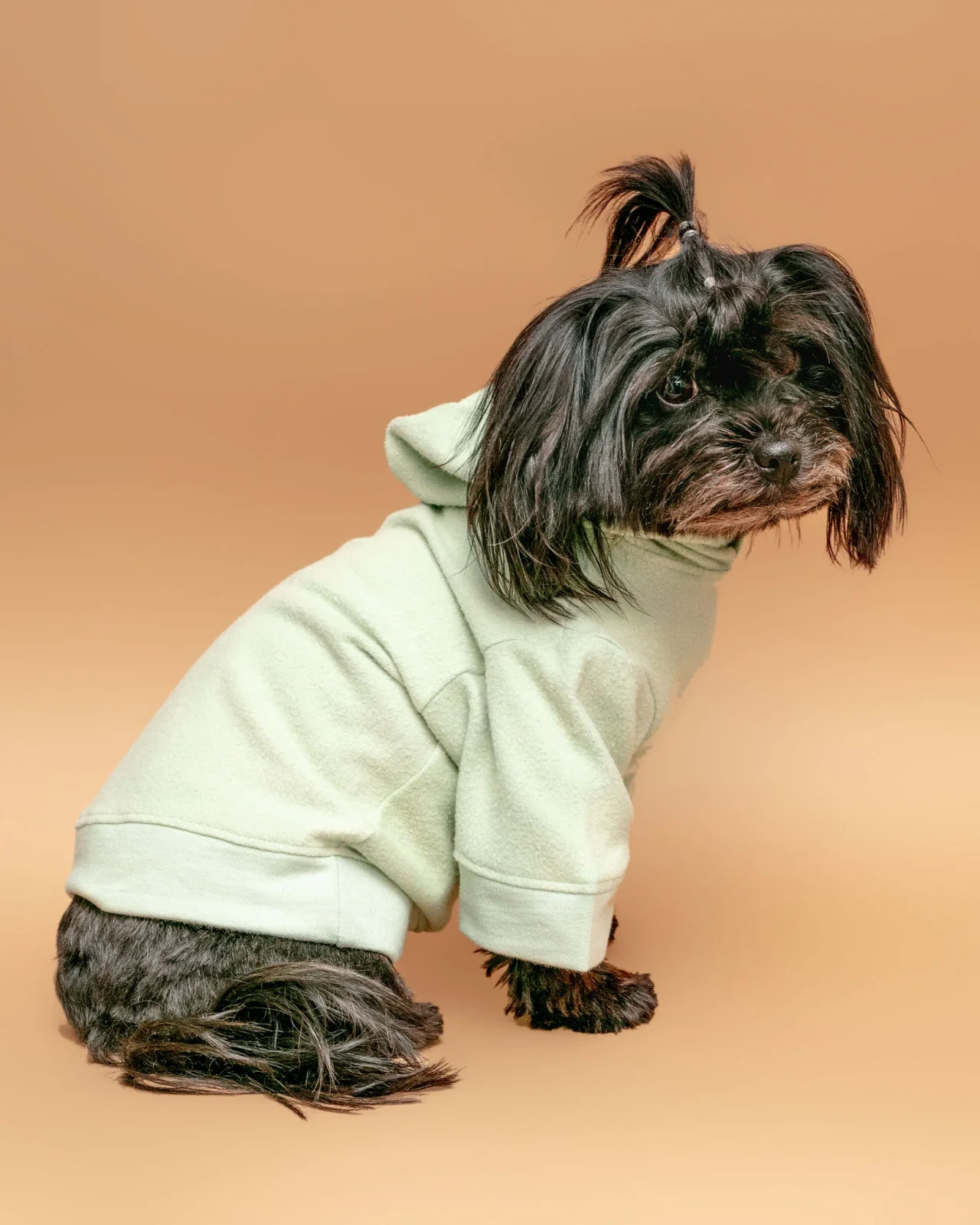 The Basics Dog Hoodie in Summer Seafoam (Made in the USA) <>