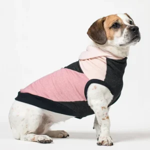 The Boombayah Cotton Hoodie for Long Dogs (Made in the USA) <>