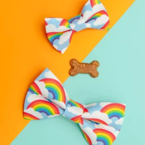The Bright Side Rainbow Bow Tie