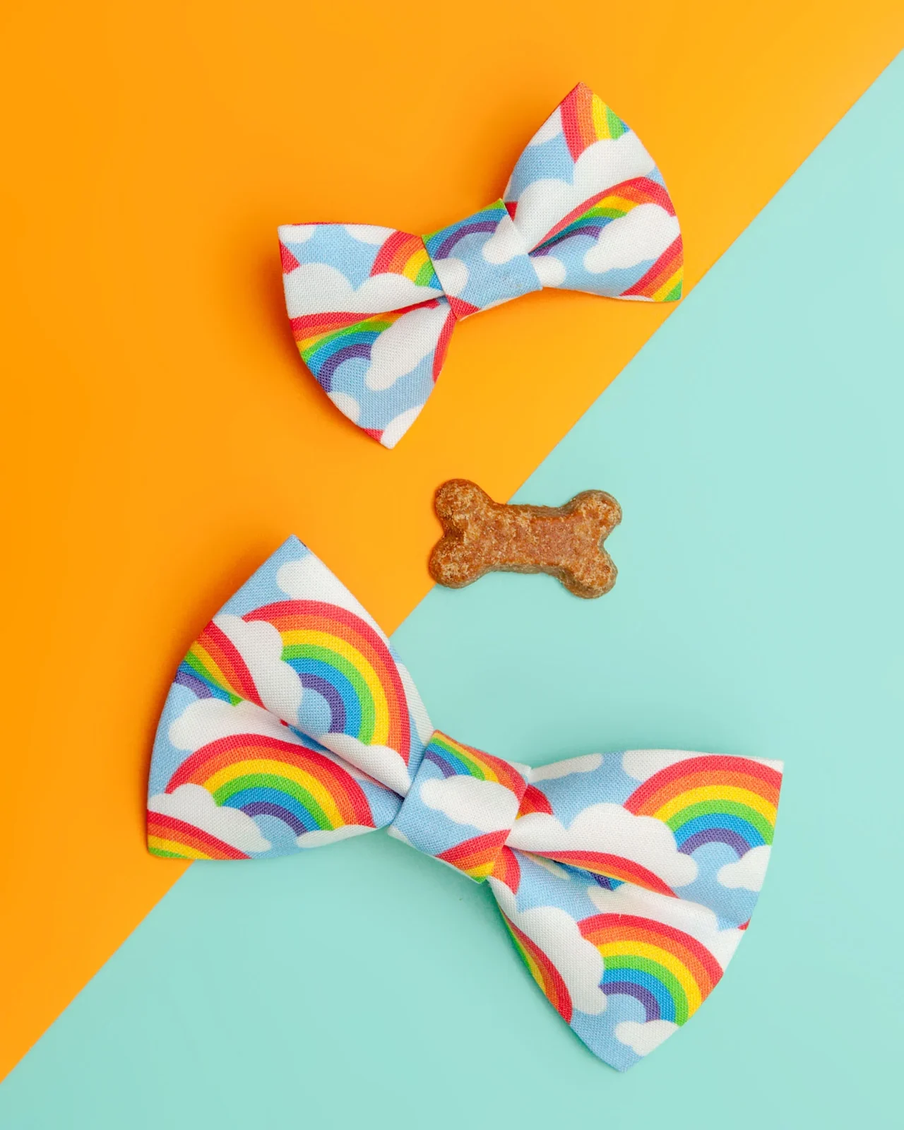 The Bright Side Rainbow Bow Tie