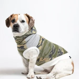 The Cadet Cotton Camo Hoodie for Long Dogs (Made in the USA) <>