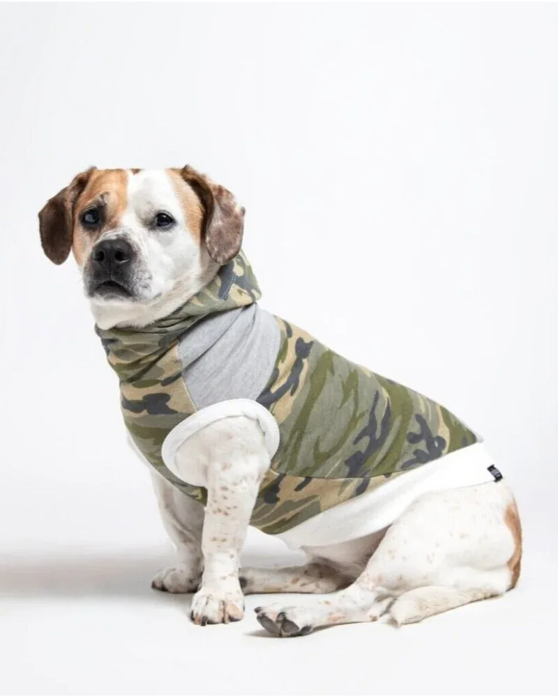 The Cadet Cotton Camo Hoodie for Long Dogs (Made in the USA) <>