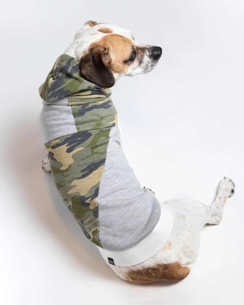 The Cadet Cotton Camo Hoodie for Long Dogs (Made in the USA) <> - Image 2