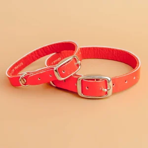 The Cleo Leather Tag Collar in Fluoro Red (Dog & Co. Exclusive) (FINAL SALE)