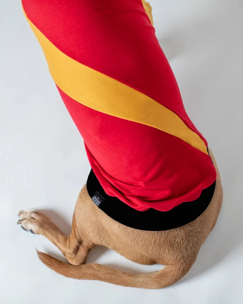 The Essey Pullover Hoodie for Long Dogs (Made in the USA) <> - Image 2