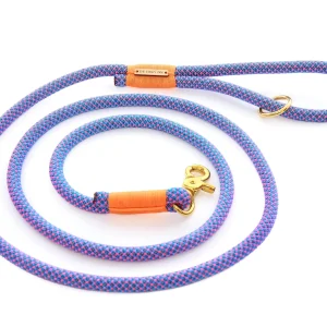 THE FOGGY DOG | Climbing Rope Leash in Neon Tetra