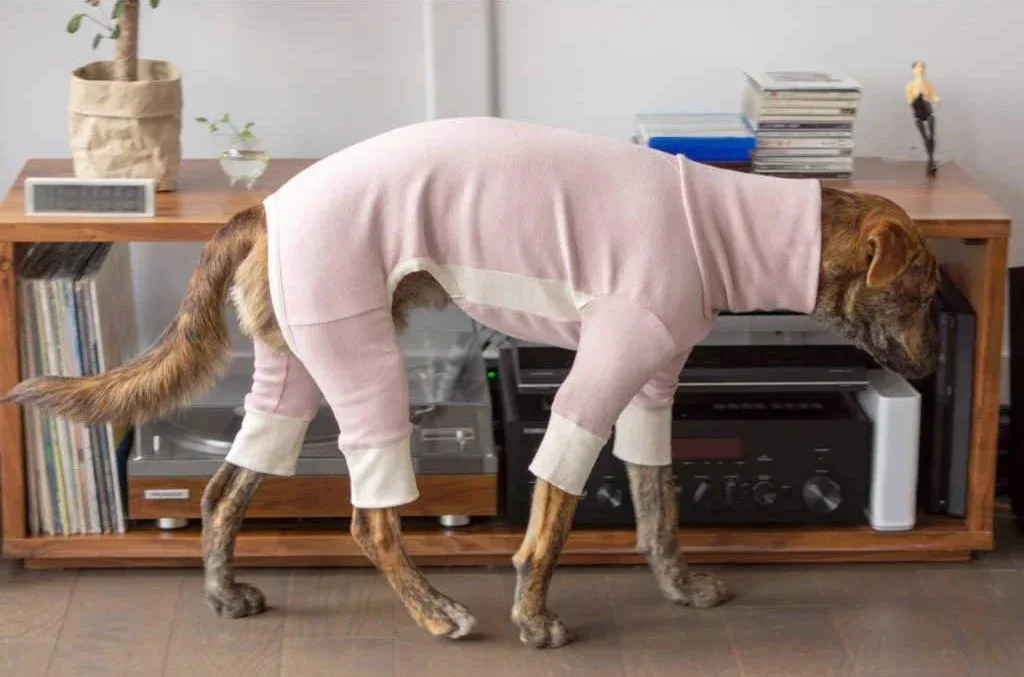 THE FURRYFOLKS | High Neck Jumpsuit in Blush - Image 2