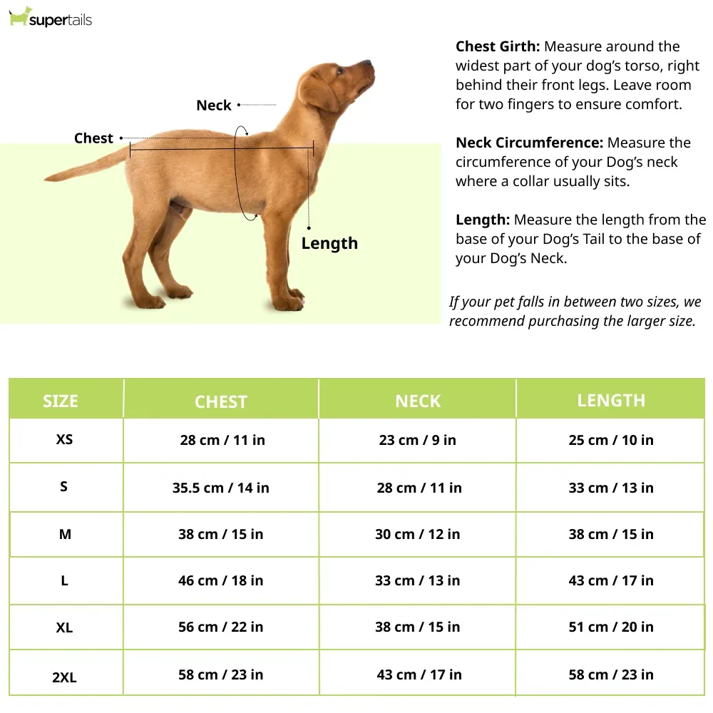 The Happy Lots Chunky Sweaters for Dogs (Bright Blue) - Image 2