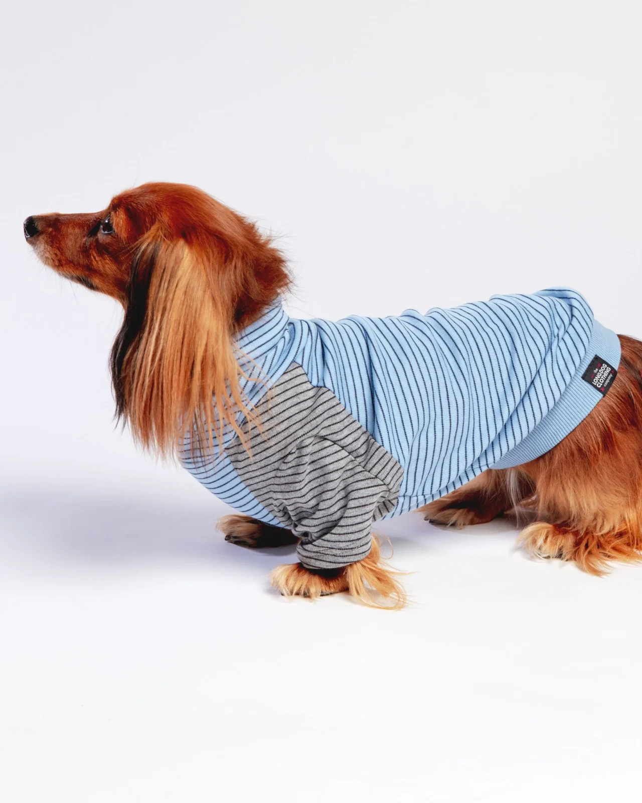 The Marlin Organic Cotton T-Shirt for Long Dogs (Made in the USA) <> - Image 2