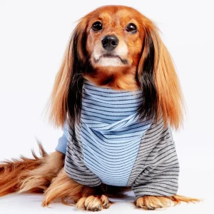 The Marlin Organic Cotton T-Shirt for Long Dogs (Made in the USA) <>