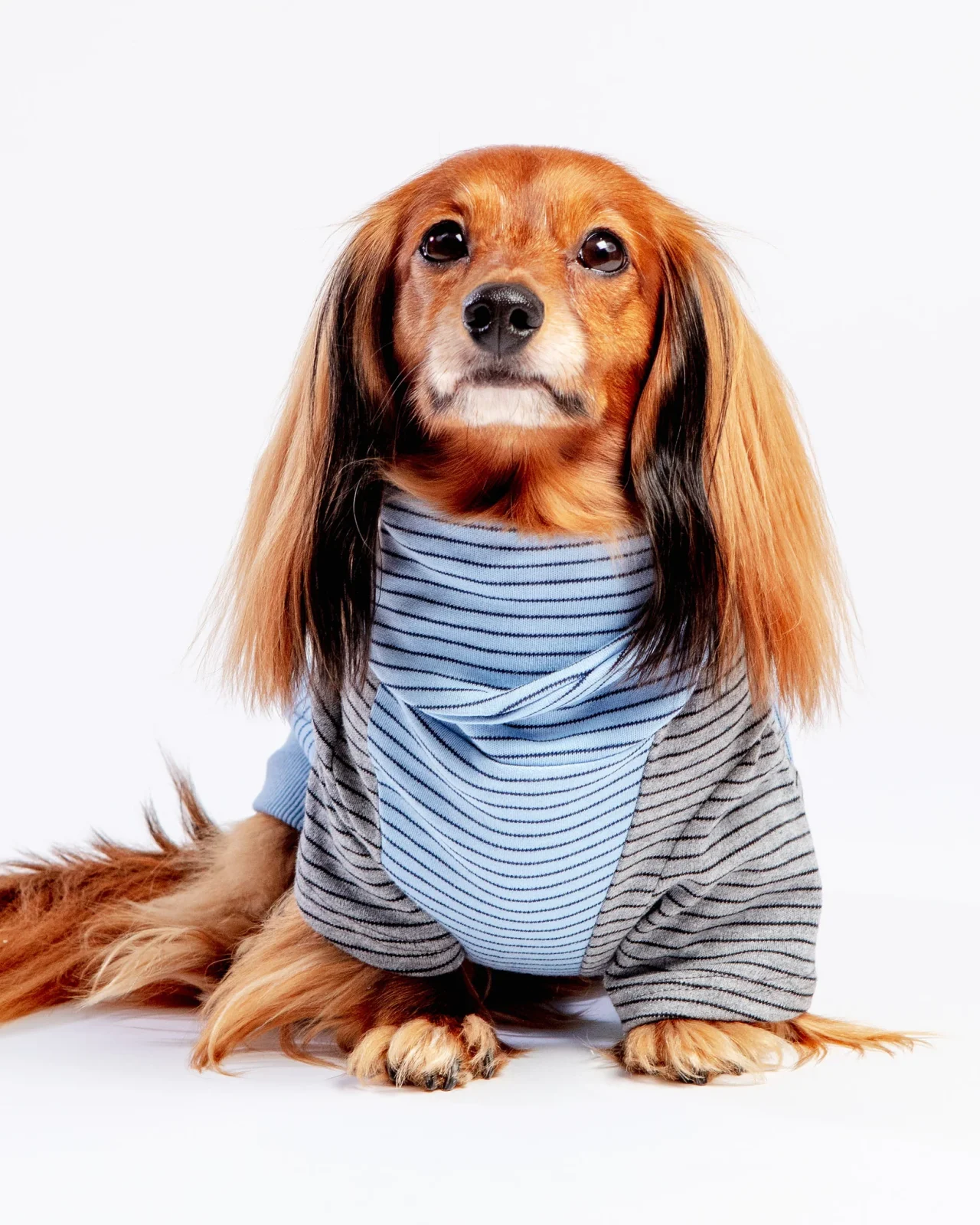 The Marlin Organic Cotton T-Shirt for Long Dogs (Made in the USA) <>