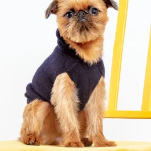 The Marmalady Cashmere Dog Hoodie in Midnight (Made in NYC) (FINAL SALE)