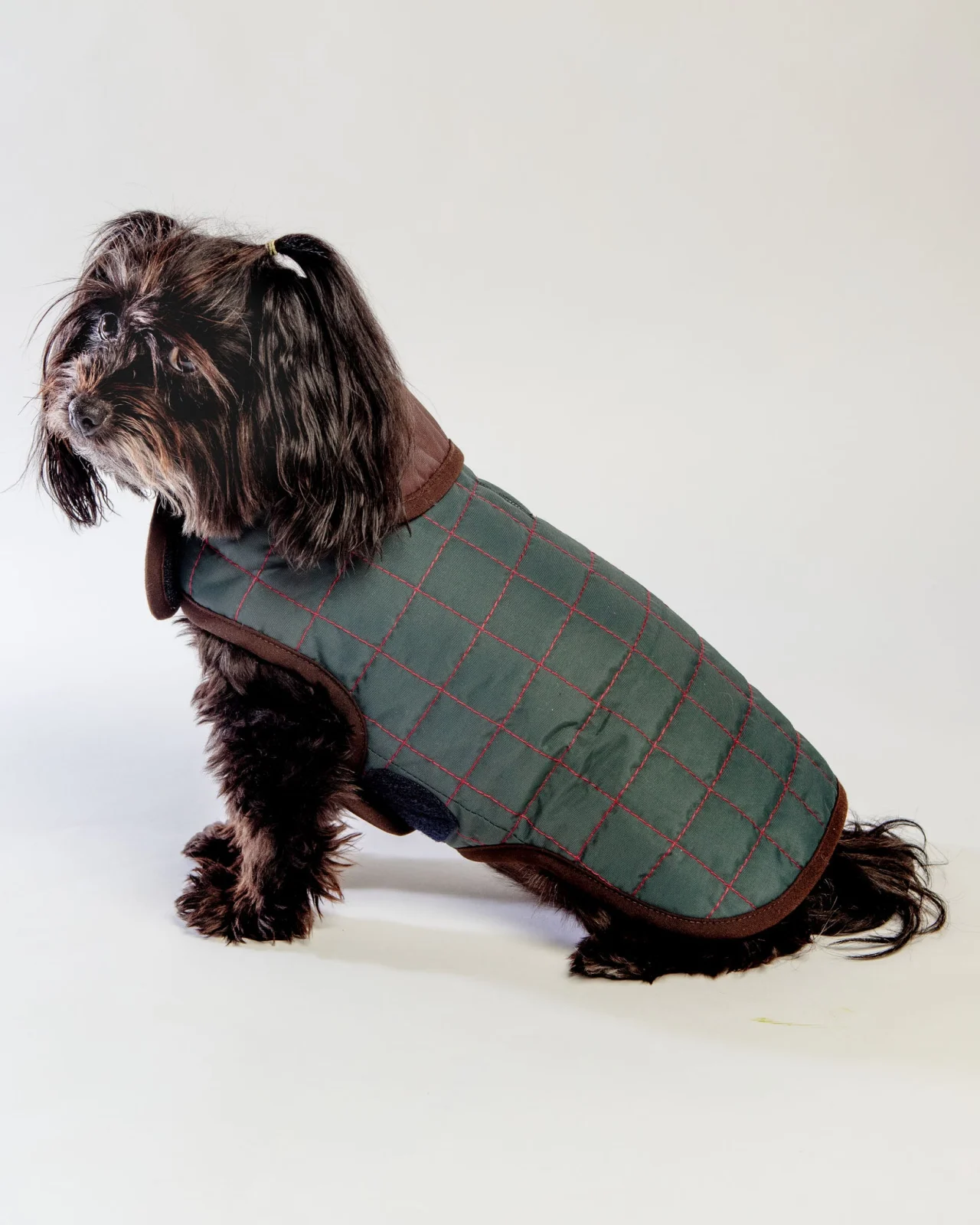 The Traveler Fleece-Lined Waterproof Dog Coat <> - Image 2