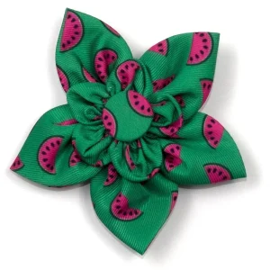 THE WORTHY DOG | Watermelon Flower