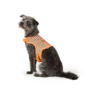 Thrills & Chills™ Halloween Cowboy Dog Costume Harness