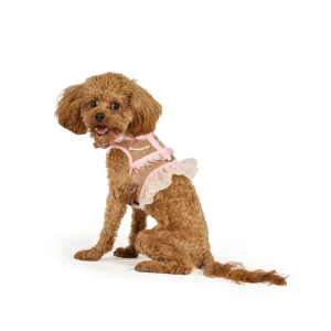 Thrills & Chills™ Halloween Cowgirl Dog Costume Harness