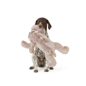 Thrills & Chills™ Halloween Plush XL Dog Dog Toy