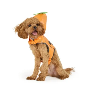 Thrills & Chills™ Halloween Pumpkin Dog Costume Harness