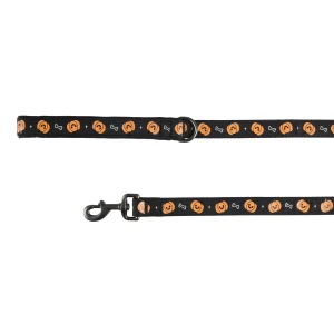 Thrills & Chills™ Halloween Pumpkin Dog Leash
