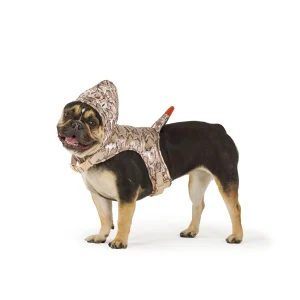 Thrills & Chills™ Halloween Snake Dog Costume Harness