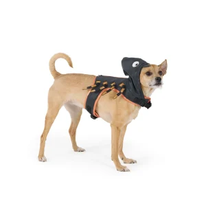 Thrills & Chills™ Halloween Spider Dog Costume Harness